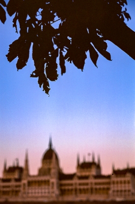 Parliament is fast becoming a blur to those it has abandoned.