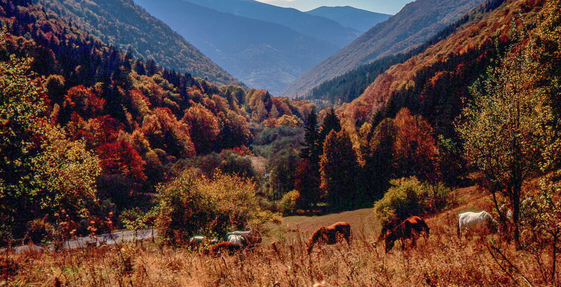 Serenity in Bulgaria’s Rila mountain